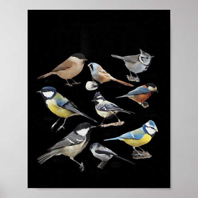 Poster Stop Staring At My Funny Birds Lover Saying Quote  (Devant)
