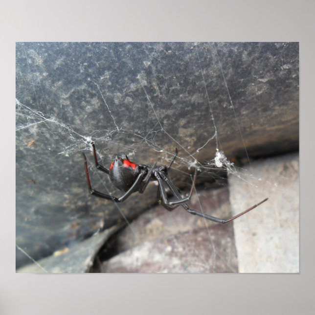 Poster Strands Silken (Devant)