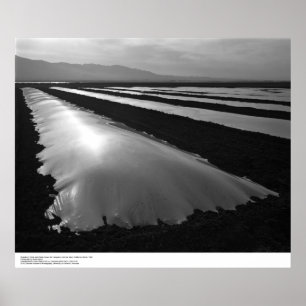 Poster Strawberry Fields avec les couvertures en