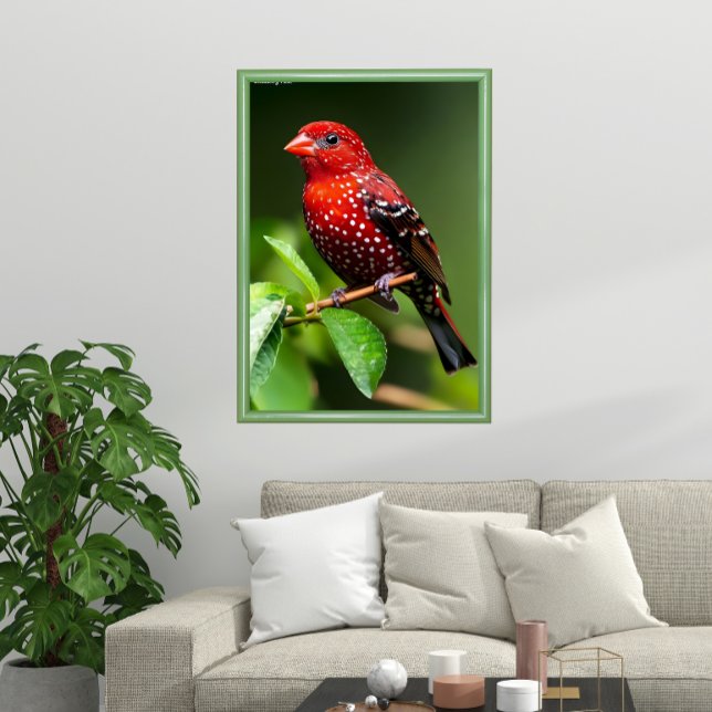 Poster Strawberry Finch  (Créateur téléchargé)
