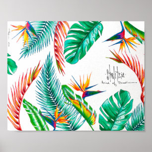 Poster Strelitzia - Oiseau Du Paradis