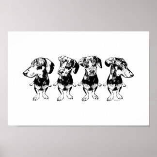 Poster 'Strike A Pose Dex' Flippy Ear Dex Art Imprimer