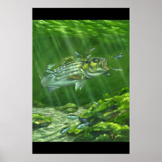 Poster "Striped Bass on the Rocks"