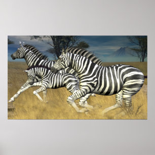 Poster Stripes de course - Exécution de Zebra Print