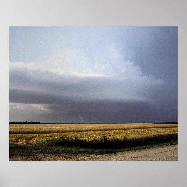 Poster Structure supercellulaire (Devant)