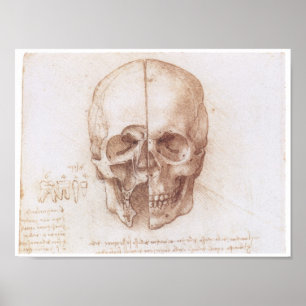 Poster Study of the Human Skull, Leonardo da Vinci