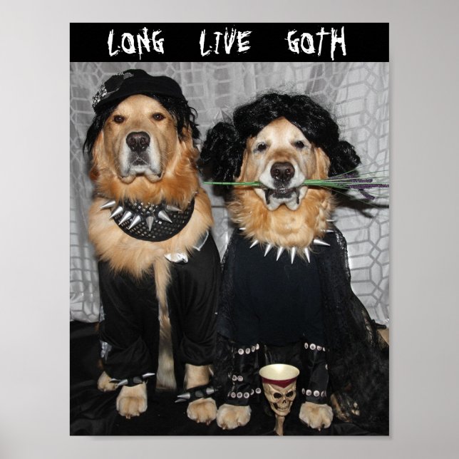 Poster Style Goth Retriever Golden (Devant)