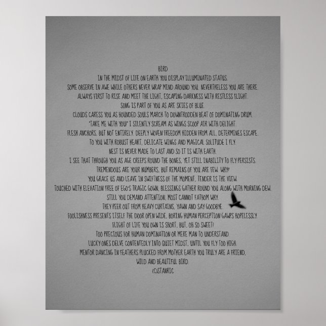 POSTER STYLES D'ART ET DE DESIGN D'AFFICHE (Devant)