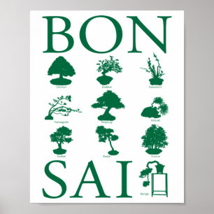Poster Styles de base de l'arbre Bonsai