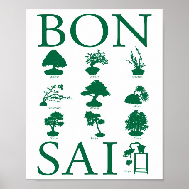 Poster Styles de base de l'arbre Bonsai (Devant)
