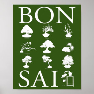 Poster Styles de base de l'arbre Bonsai