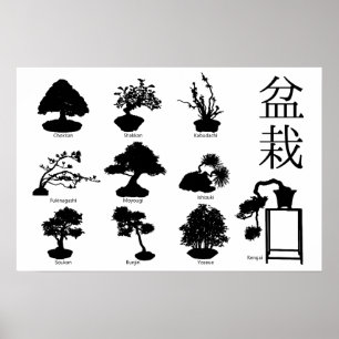 Poster Styles de base de l'arbre Bonsai 10