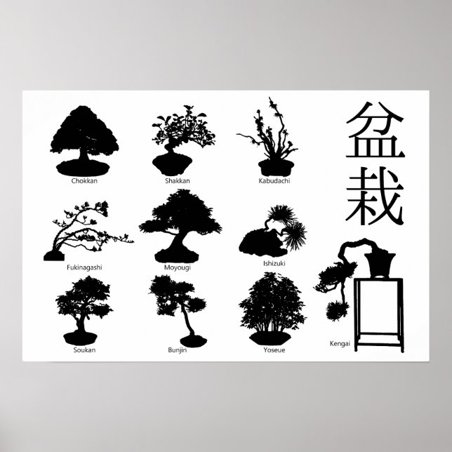 Poster Styles de base de l'arbre Bonsai 10 (Devant)