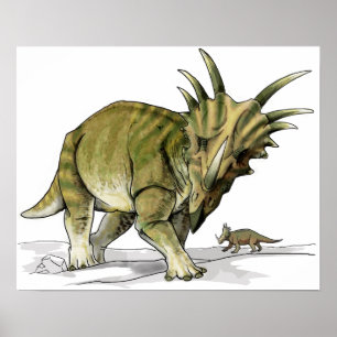 Poster Styracosaurus - Dinosaure crétois
