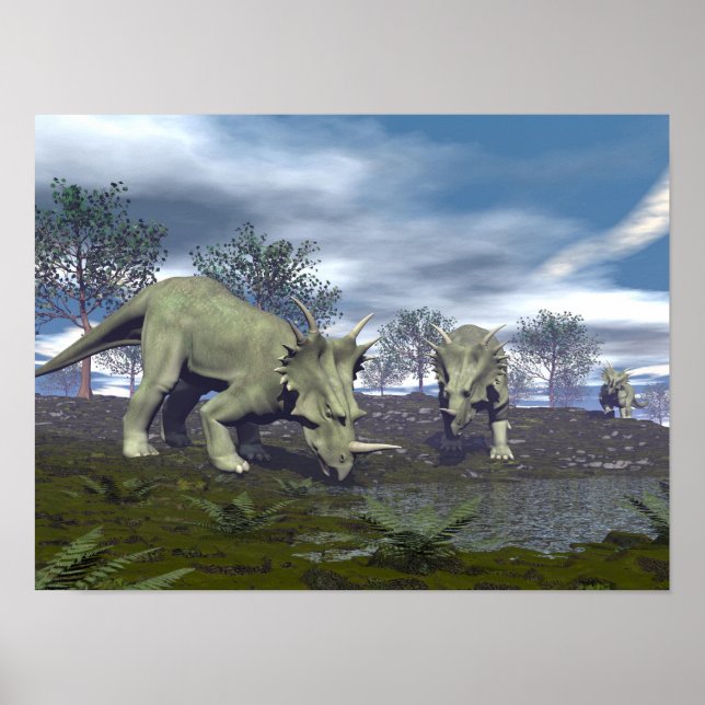 Poster Styracosaurus dinosaures allant à l'eau - rendu 3D (Devant)