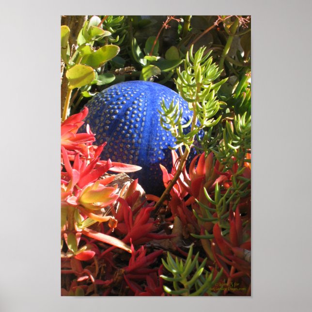 Poster Succulent Jardin Sous-Marin À Thème Plante (Devant)
