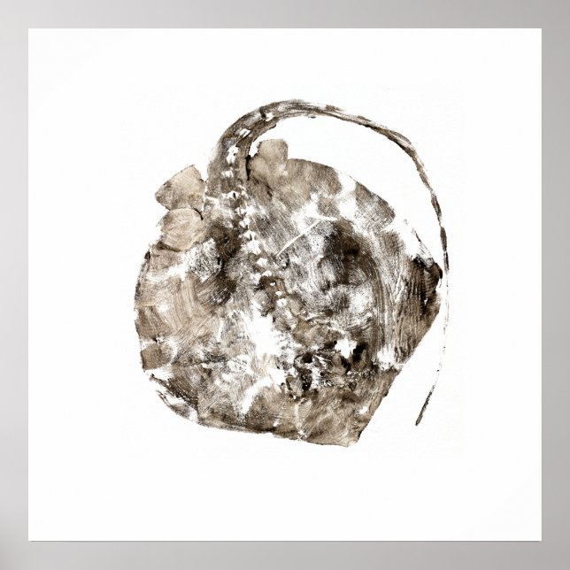 Poster Sud de Stingray (Devant)