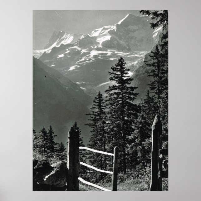 Poster Suisse vintage, gamme Jungfrau (Devant)