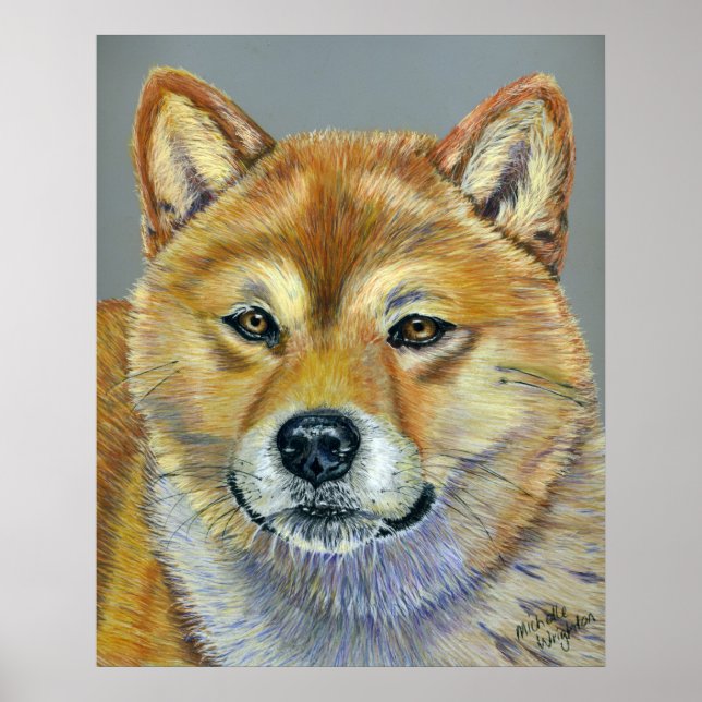 Poster Suki - Shiba Inu (Devant)