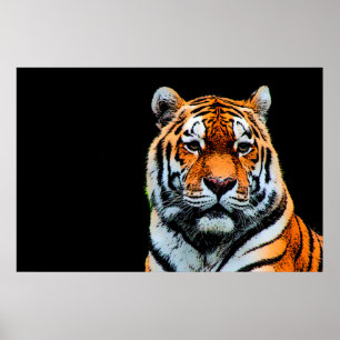 Poster Sumatran Borneo Tiger