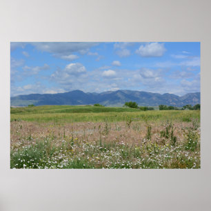 Poster Summer Colorado landscape