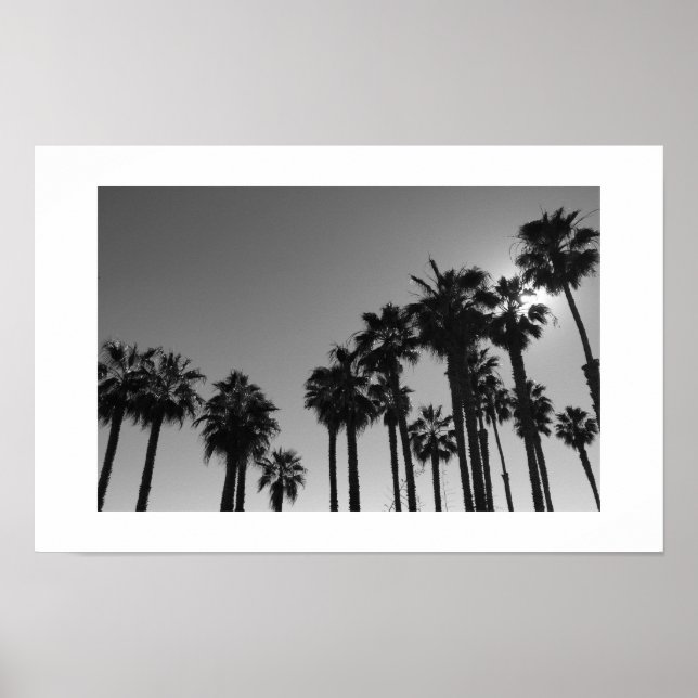 Poster Summer Ocean Palms Photographie noir et blanc (Devant)
