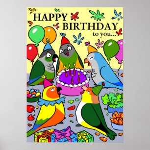 Poster sun conure gcc quaker caique sénegal perroquet heu