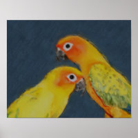 Sun Conure Parrot Pair Oiseau Art