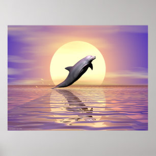 Poster Sun Dolphin