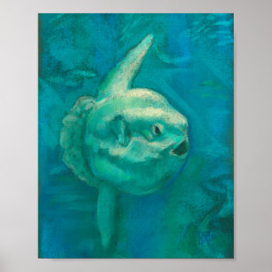 Poster Sun Fish, Mola Mola Ocean Underwater Animaux Art P