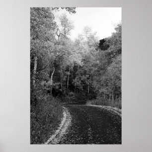 Poster Sundance, Utah