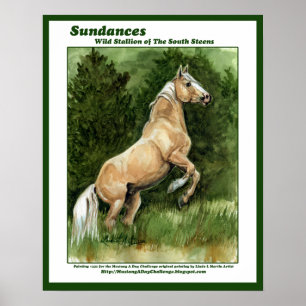 Poster Sundances Stallion sauvage des Steens du Sud