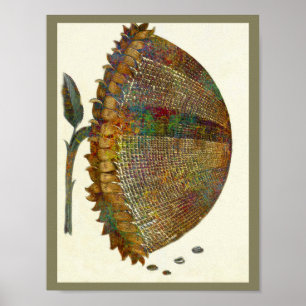 Poster Sunflower italienne médiévale