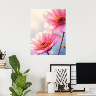 Poster Sunkissed Saumon