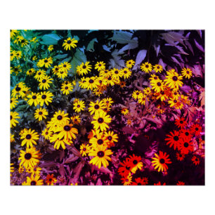 Poster Sunlit Meadow