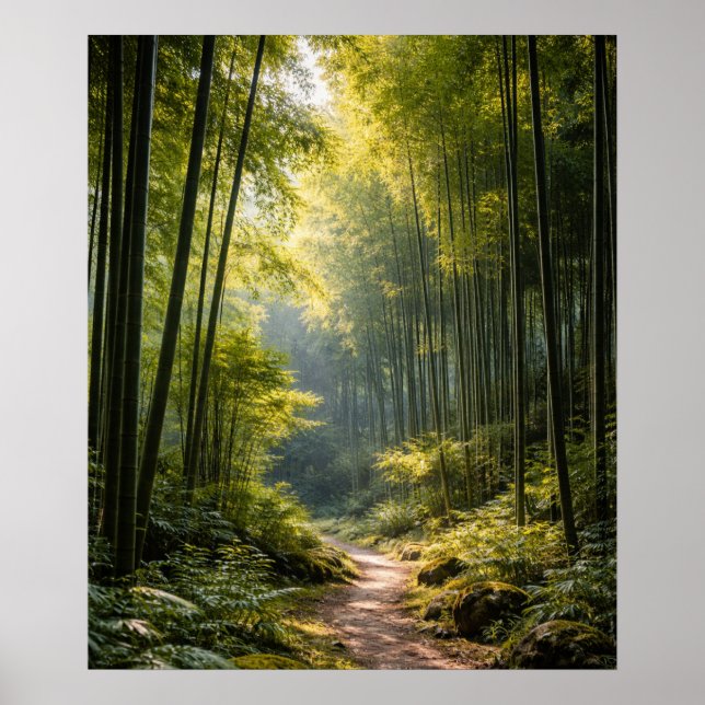 Poster Sunlit Path Through Bamboo Forest (Devant)