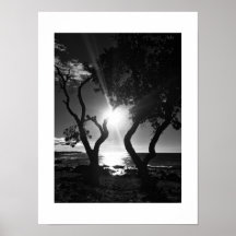 Sunlit Shore Hawaii Photographie noir et blanc