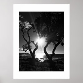 Poster Sunlit Shore Hawaii Photographie noir et blanc