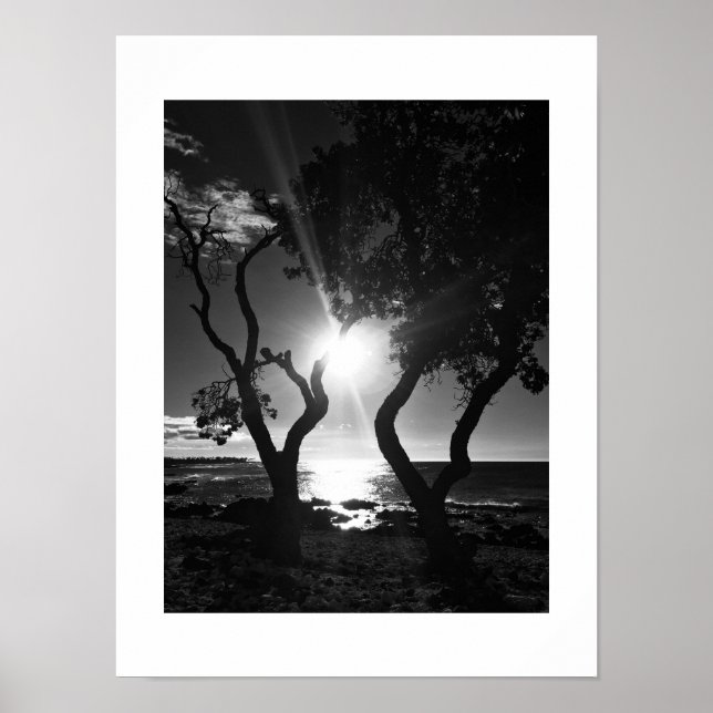 Poster Sunlit Shore Hawaii Photographie noir et blanc (Devant)