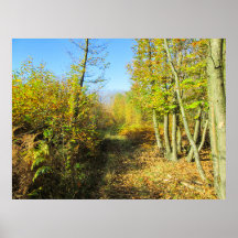 Sunlit Woods en automne - Personnalisé