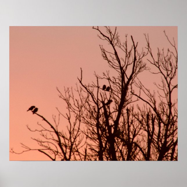 Poster - Sunrise (Devant)