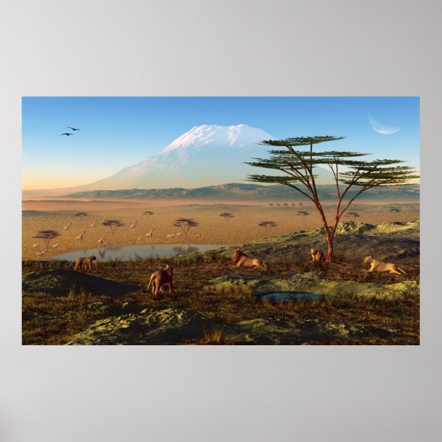 Poster Sunrise africaine (Devant)