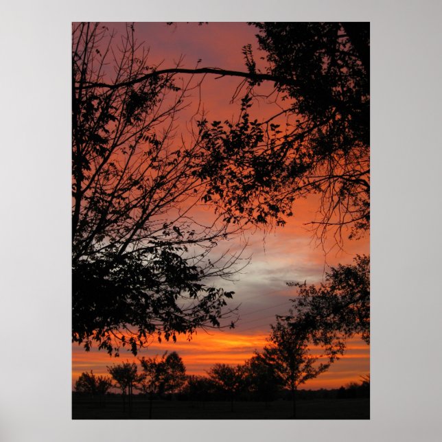 Poster Sunrise Automne (Devant)