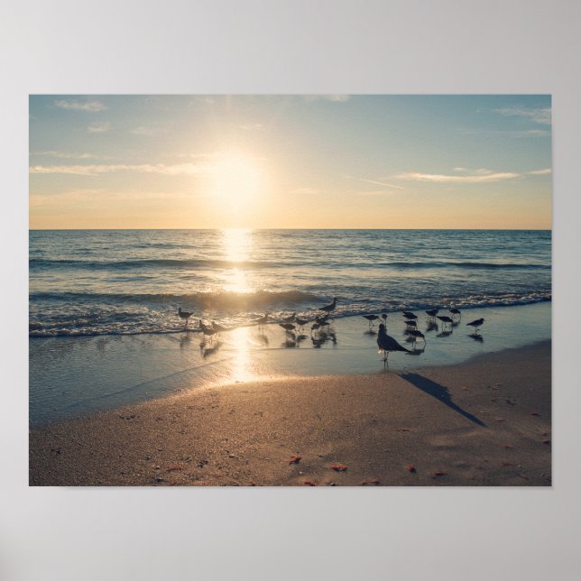 Poster Sunset de Clearwater Beach (Devant)