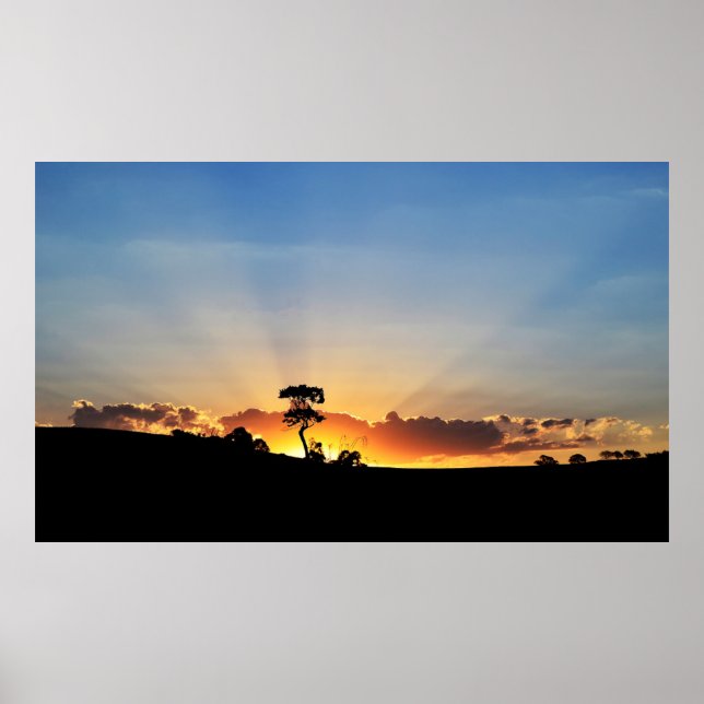 Poster Sunset Farm Londrina (Devant)