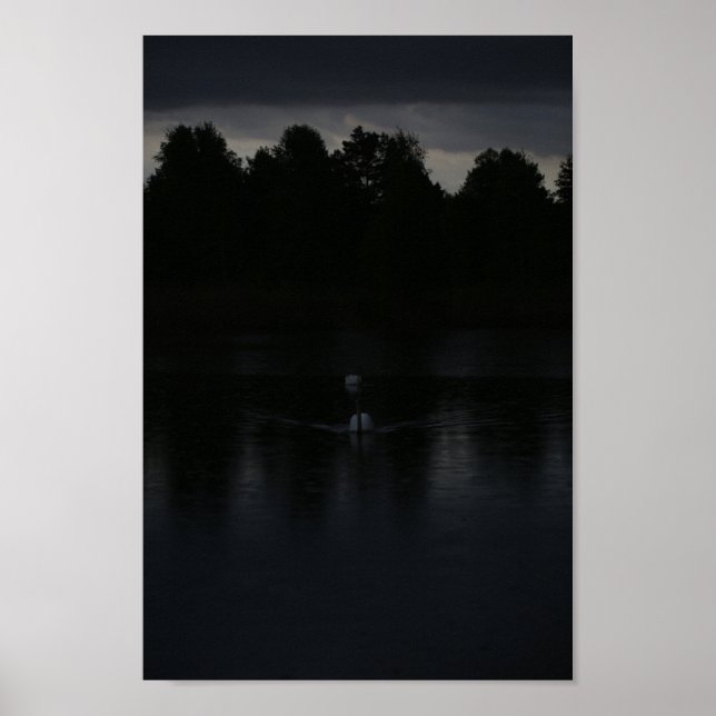 Poster Sunset Lake Rain Swans Nature Paysage (Devant)