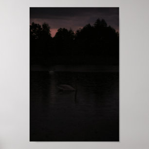 Poster Sunset Lake Rain Swans Nature Paysage