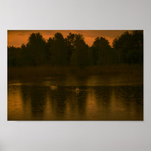 Poster Sunset Lake Rain Swans Nature Paysage