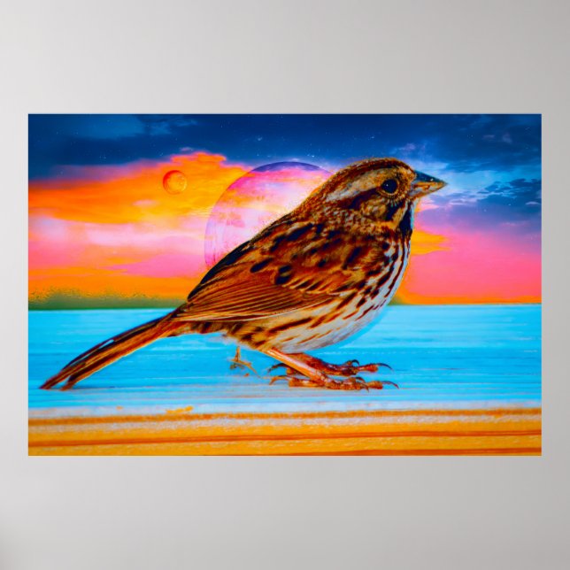 Poster Sunset Melody (Devant)
