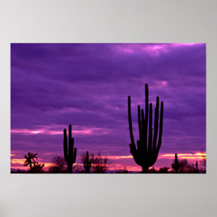 Poster Sunset, Scottsdale, Arizona